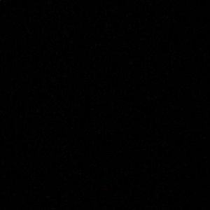 Meet your Posher, Dion